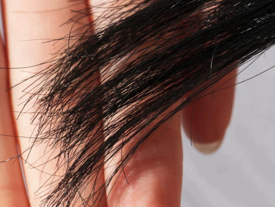 The Real Reason Your Hair Is Damaged (& What To Do About It)